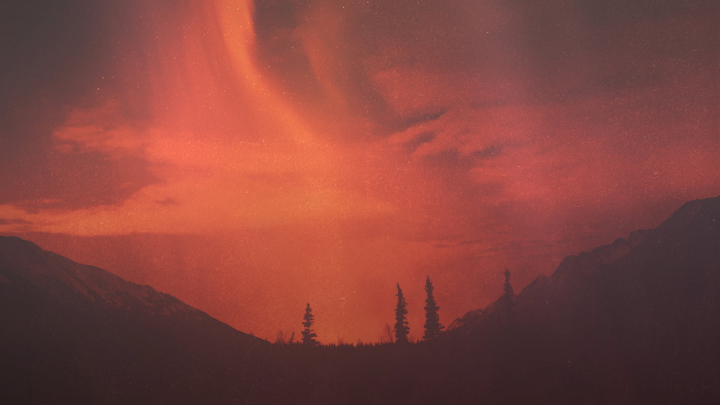 Reformation Orange