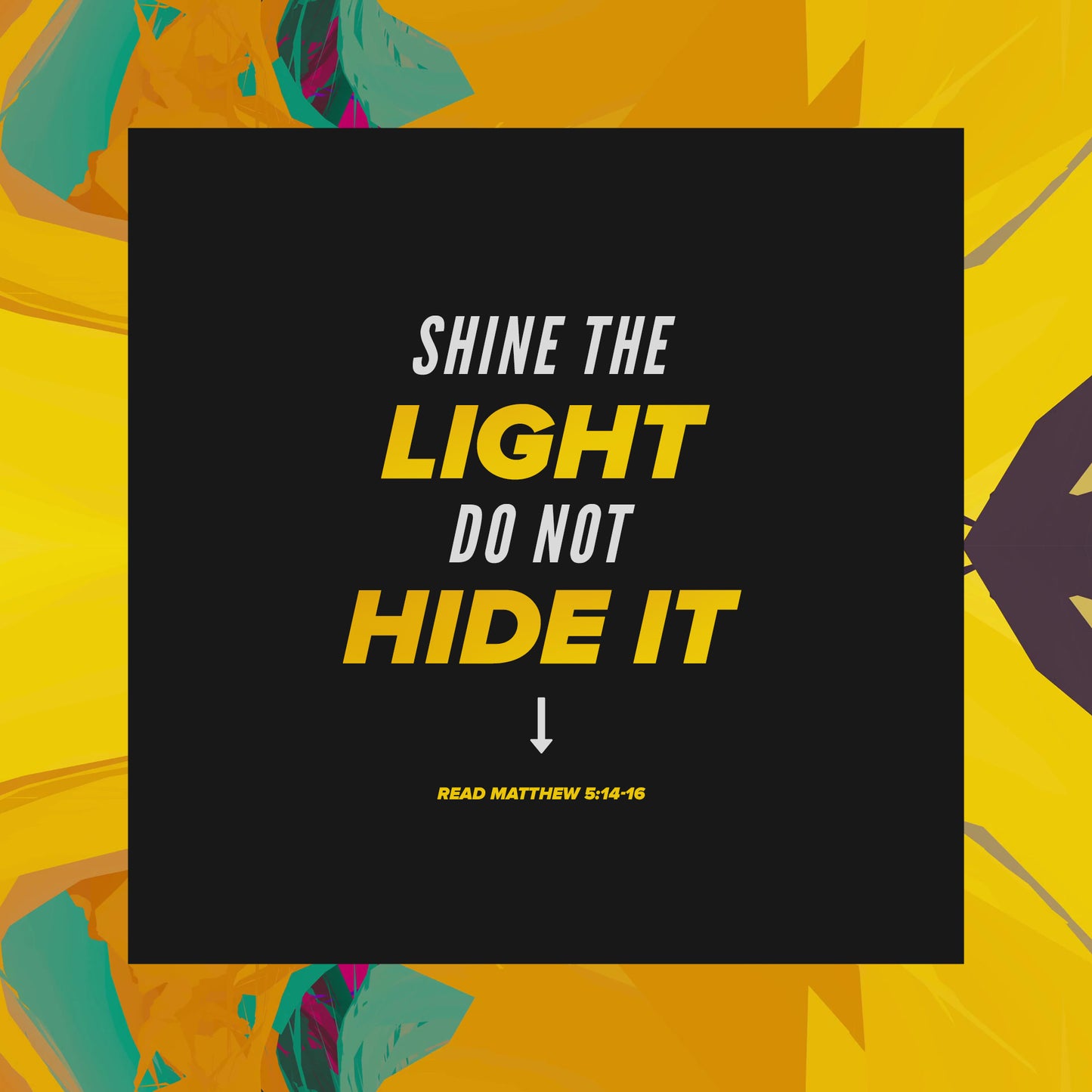 Shine The Light