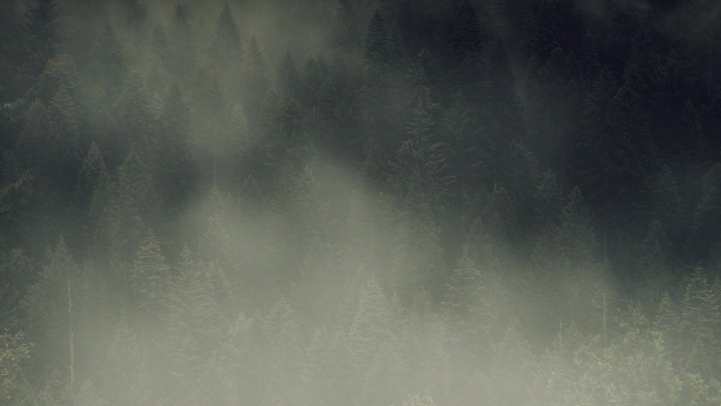 Lumberjack Dad Treeline
