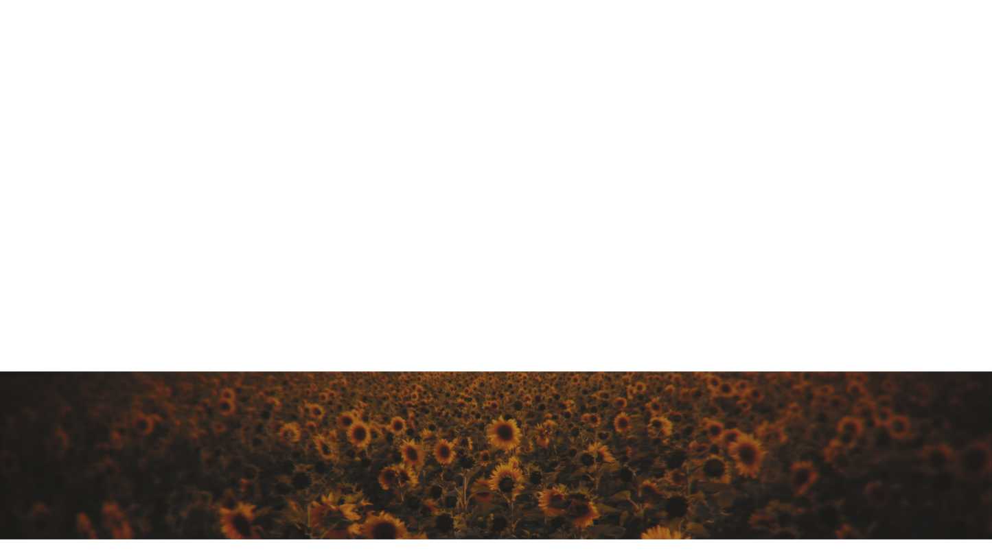 Vintage Sunflowers Lower Third Full 2