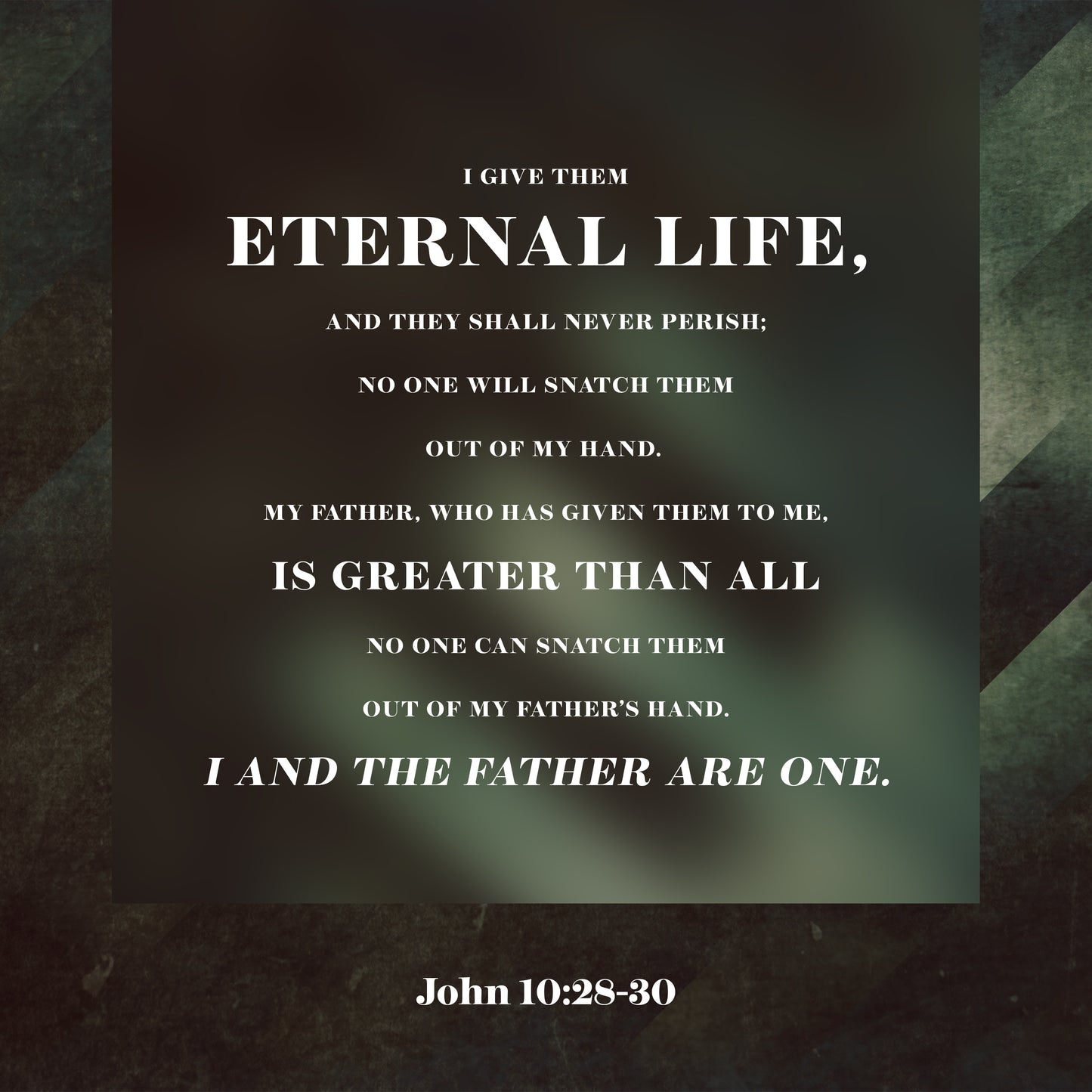 John 10:28-30