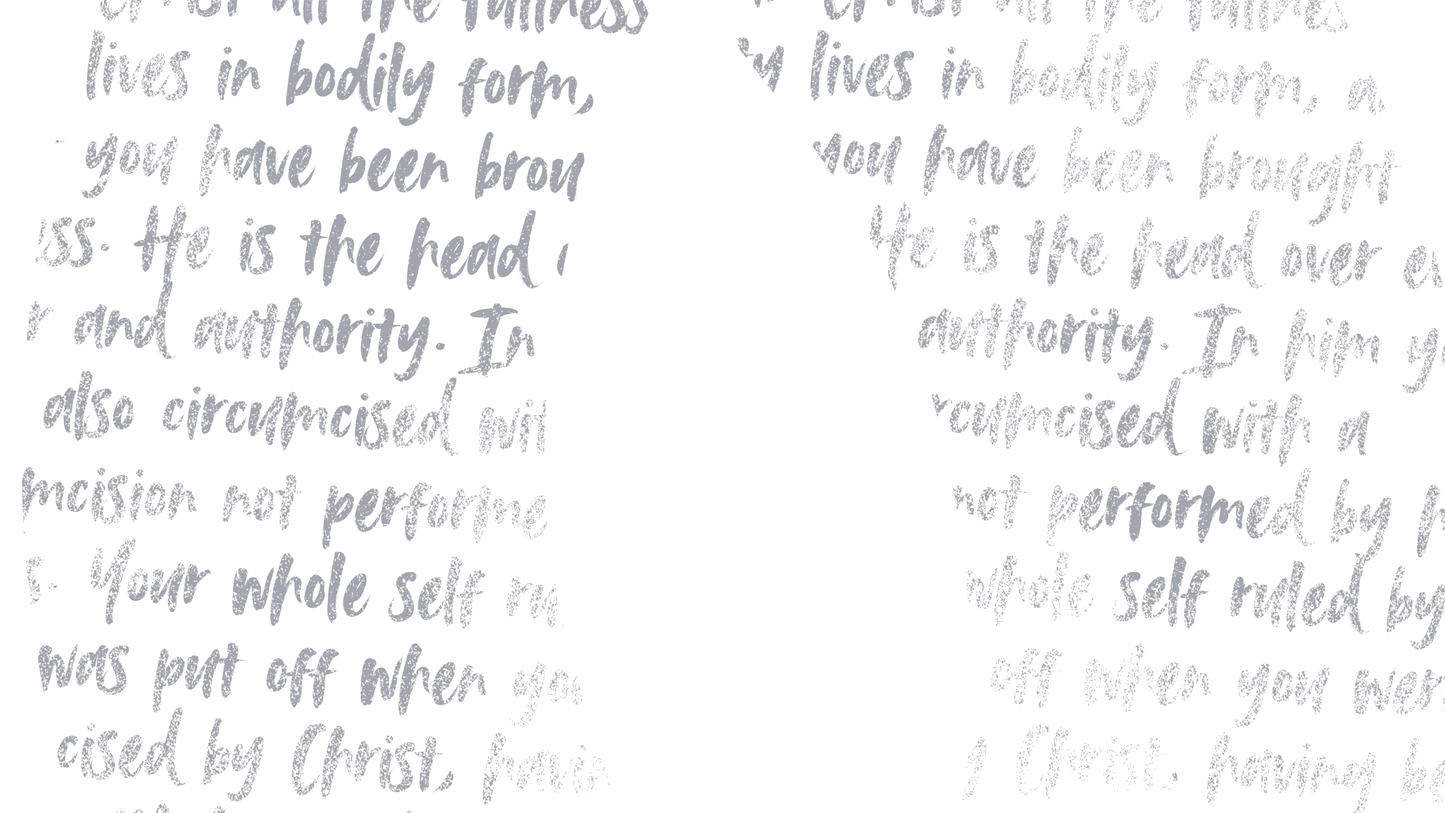 Bright Patches Words 4