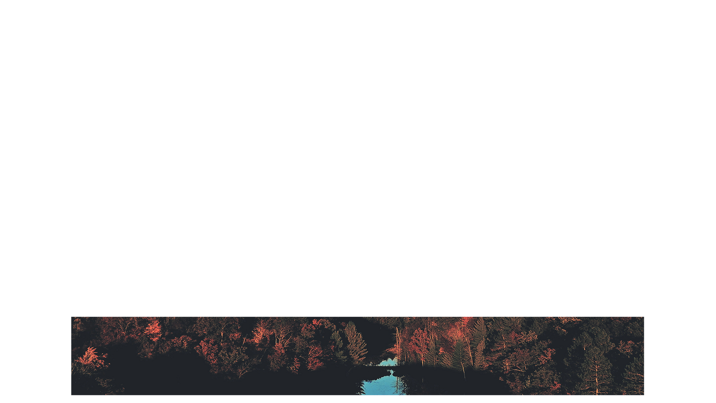 Foliage Remixed Lower Third Full Blank