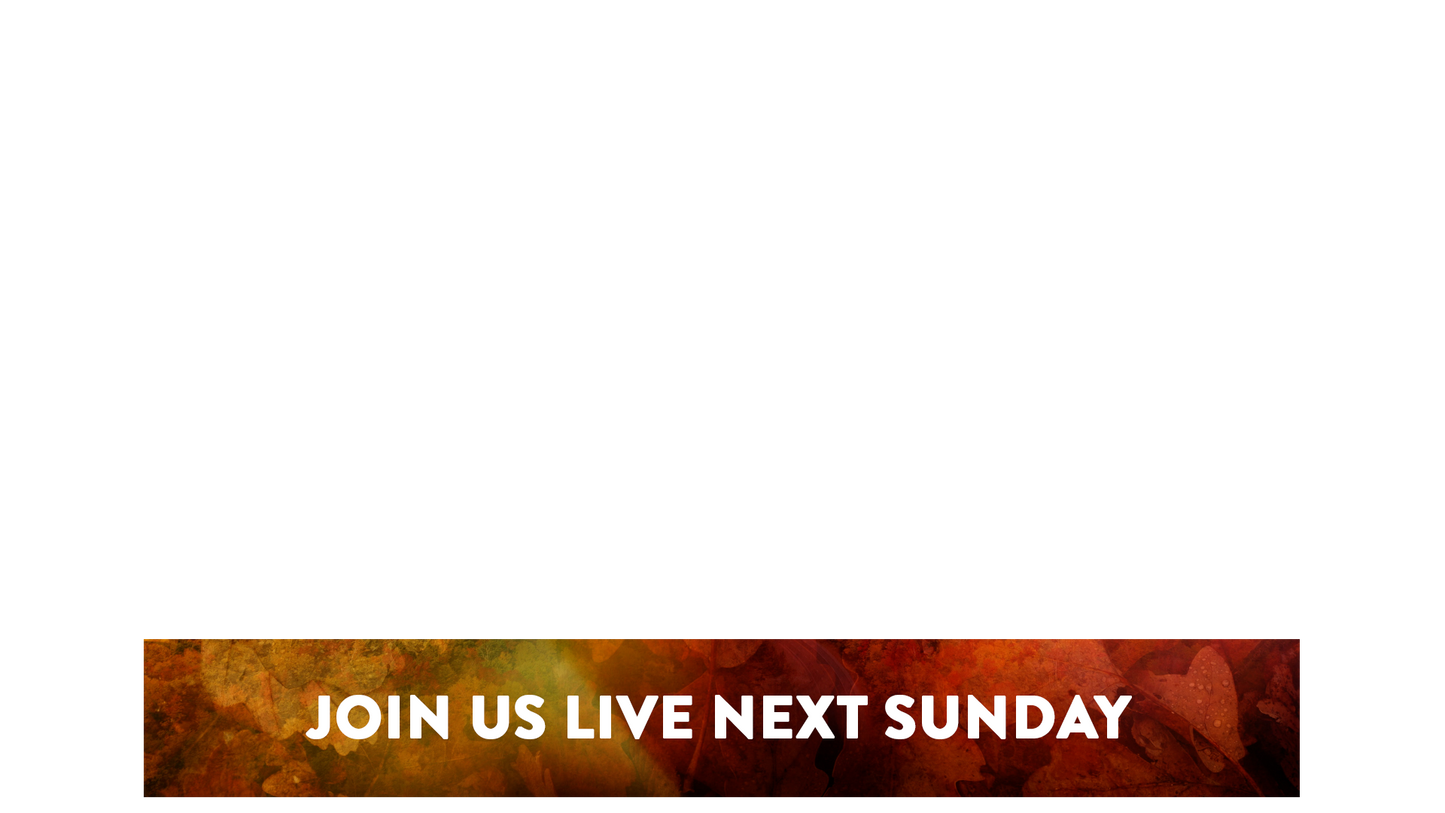 Subtle Fall Lower Third Next Sunday