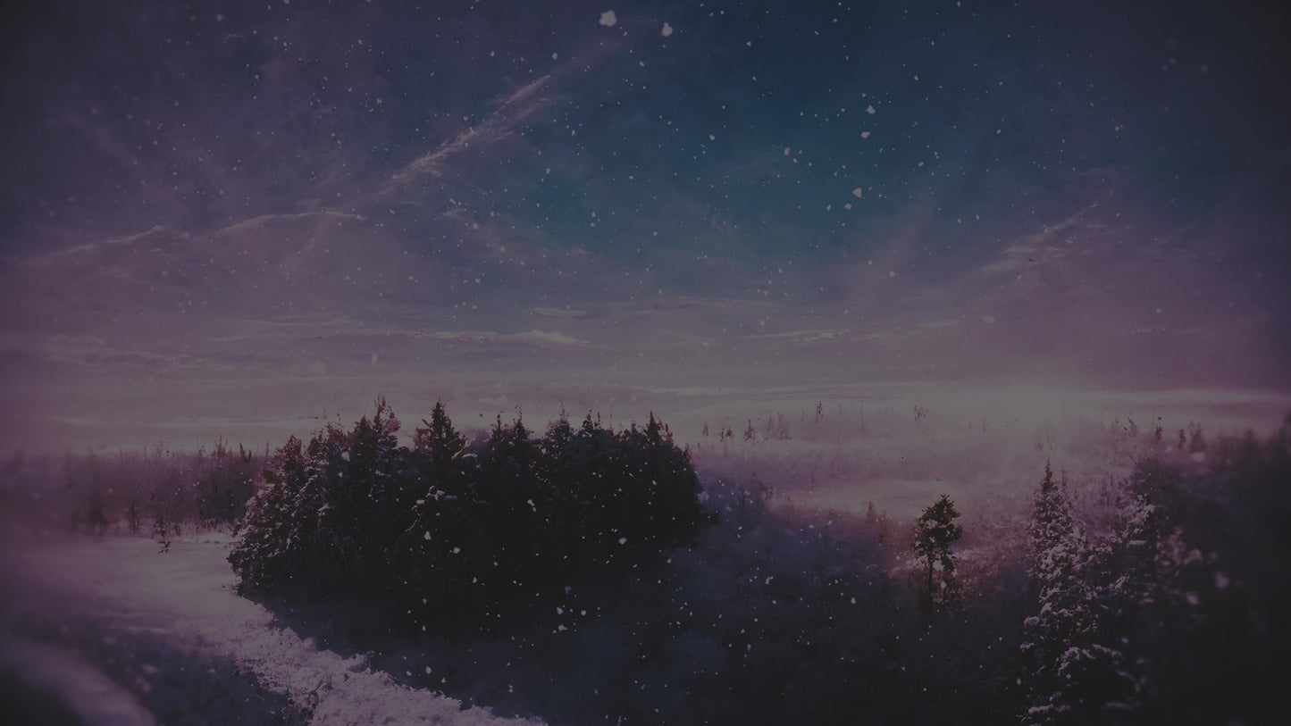 Another Winter Journey Solitude Forest Alt