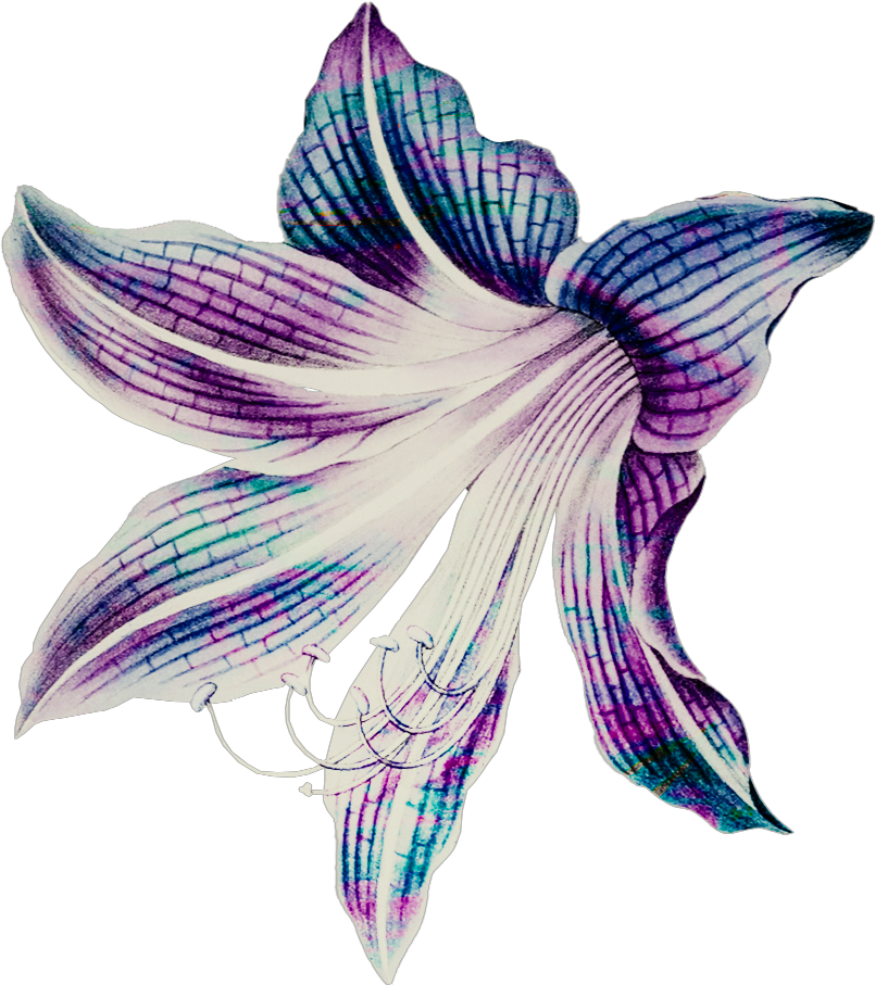 Mothers Day Glam Flower9