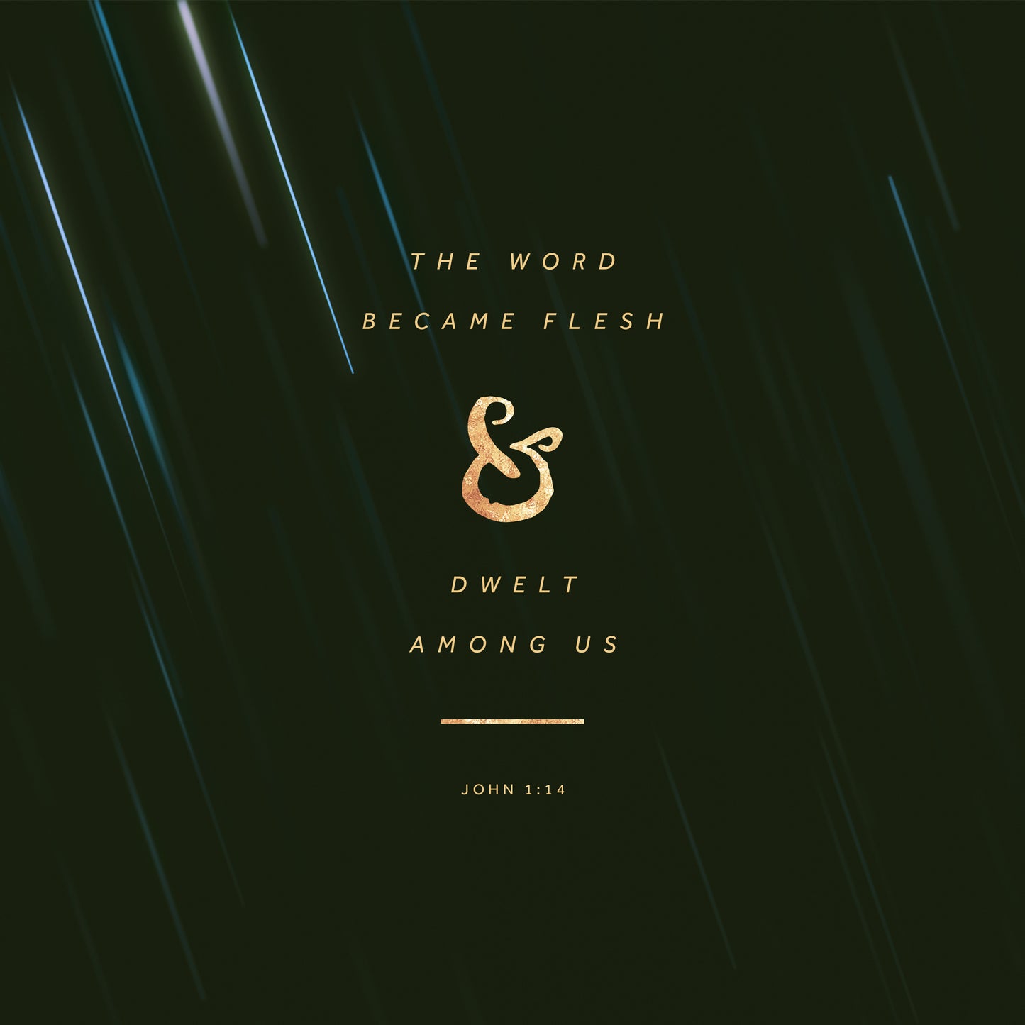 Christmas John 1:14