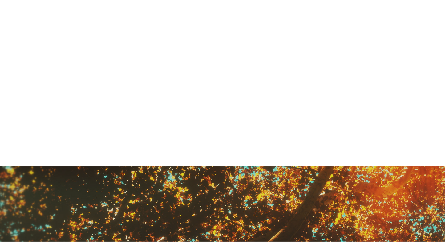Autumn Canopies Lower Third 2