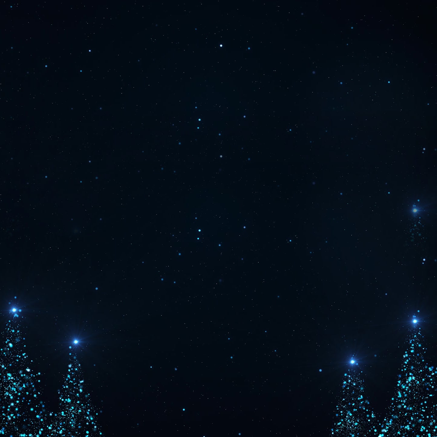 Wonder
