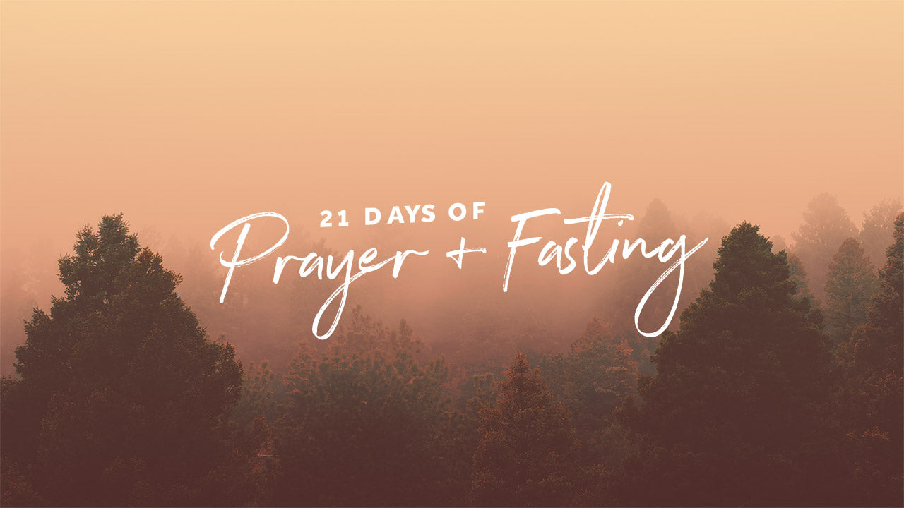 Misty Forest Sermon Series