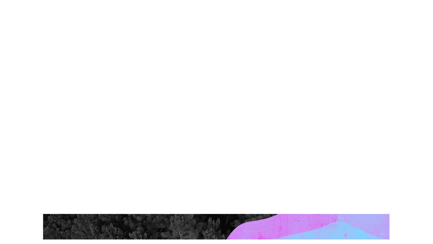 Vibrant Nature B Lower Third Blank 01