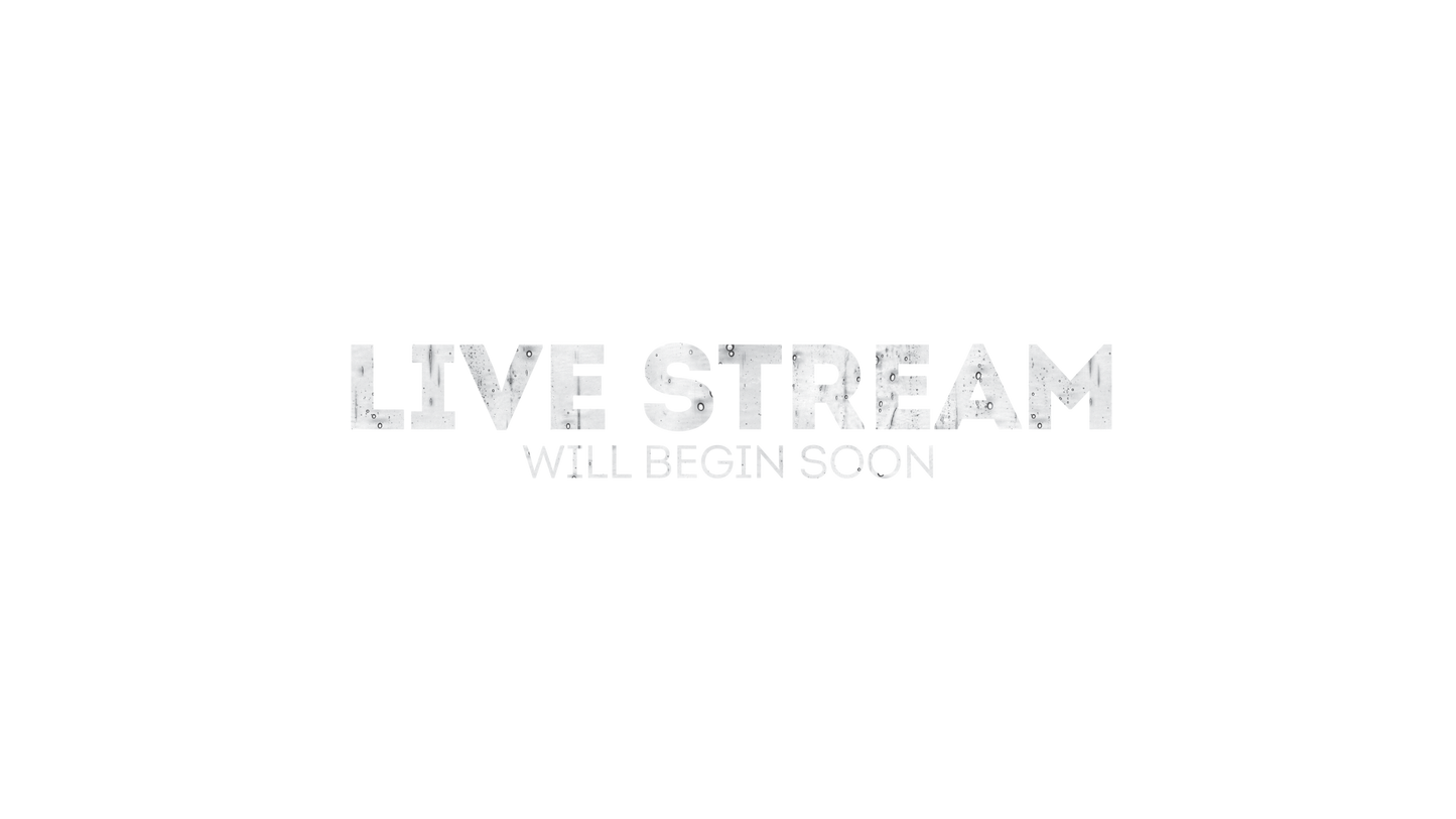 Autumn Glass Live Stream