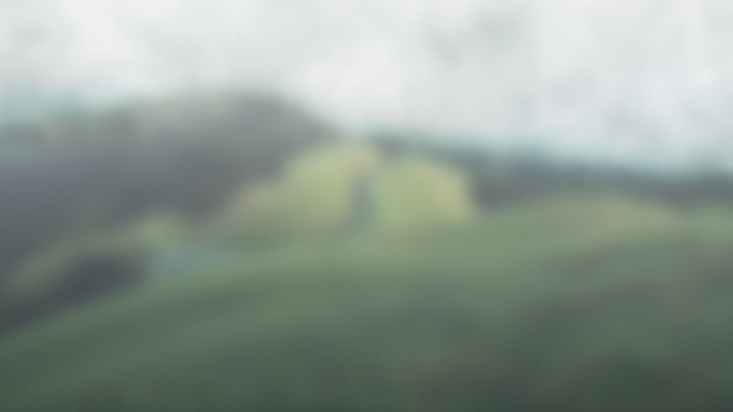 Muted Landscapes Bluff