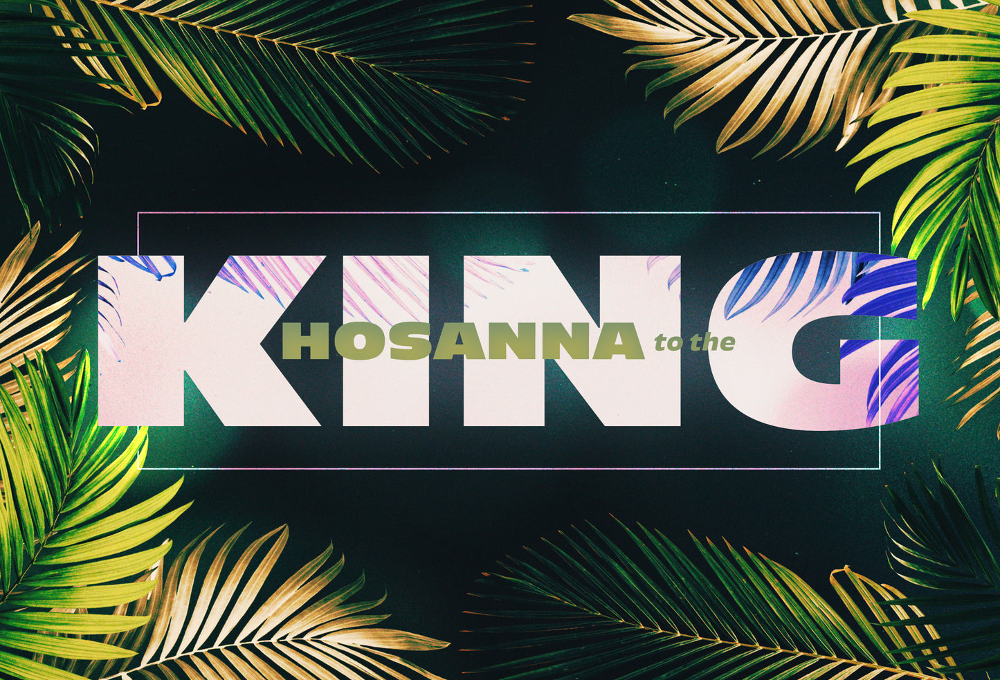 Vibrant Palms 8x5 Postcard