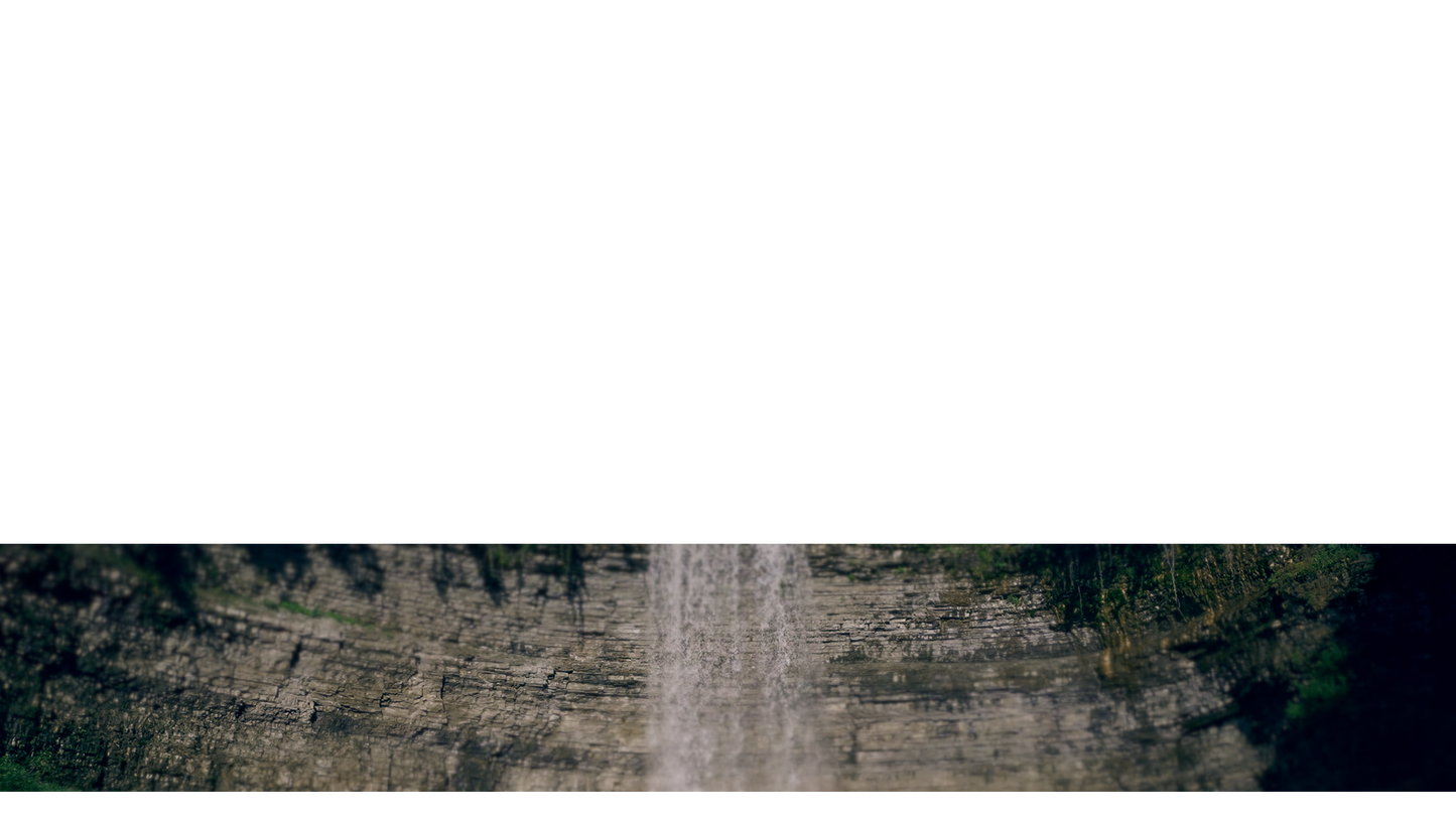 Natures Force Lower Third 11