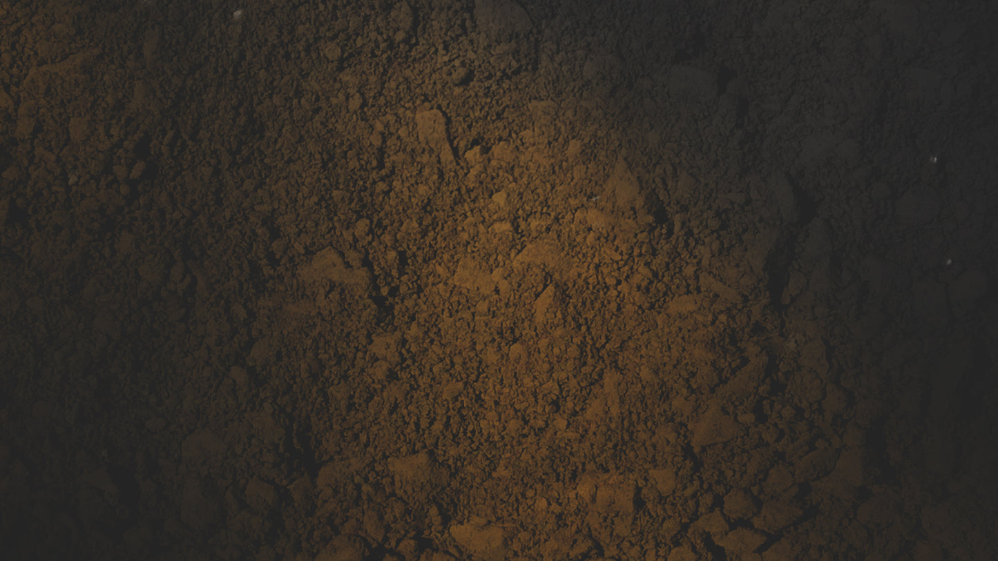 Ash Orange Still