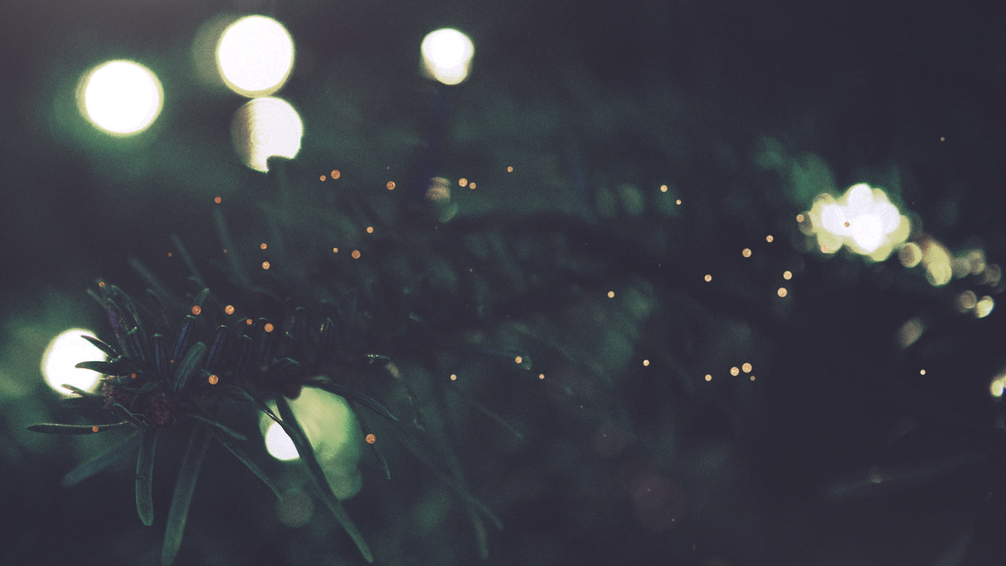 Christmas Textures Lights
