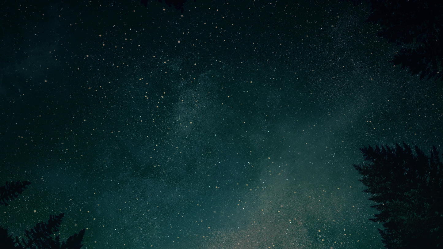 Heavenly Lights River Stars