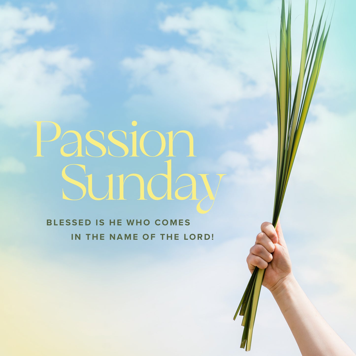 Palm Passion Sunday