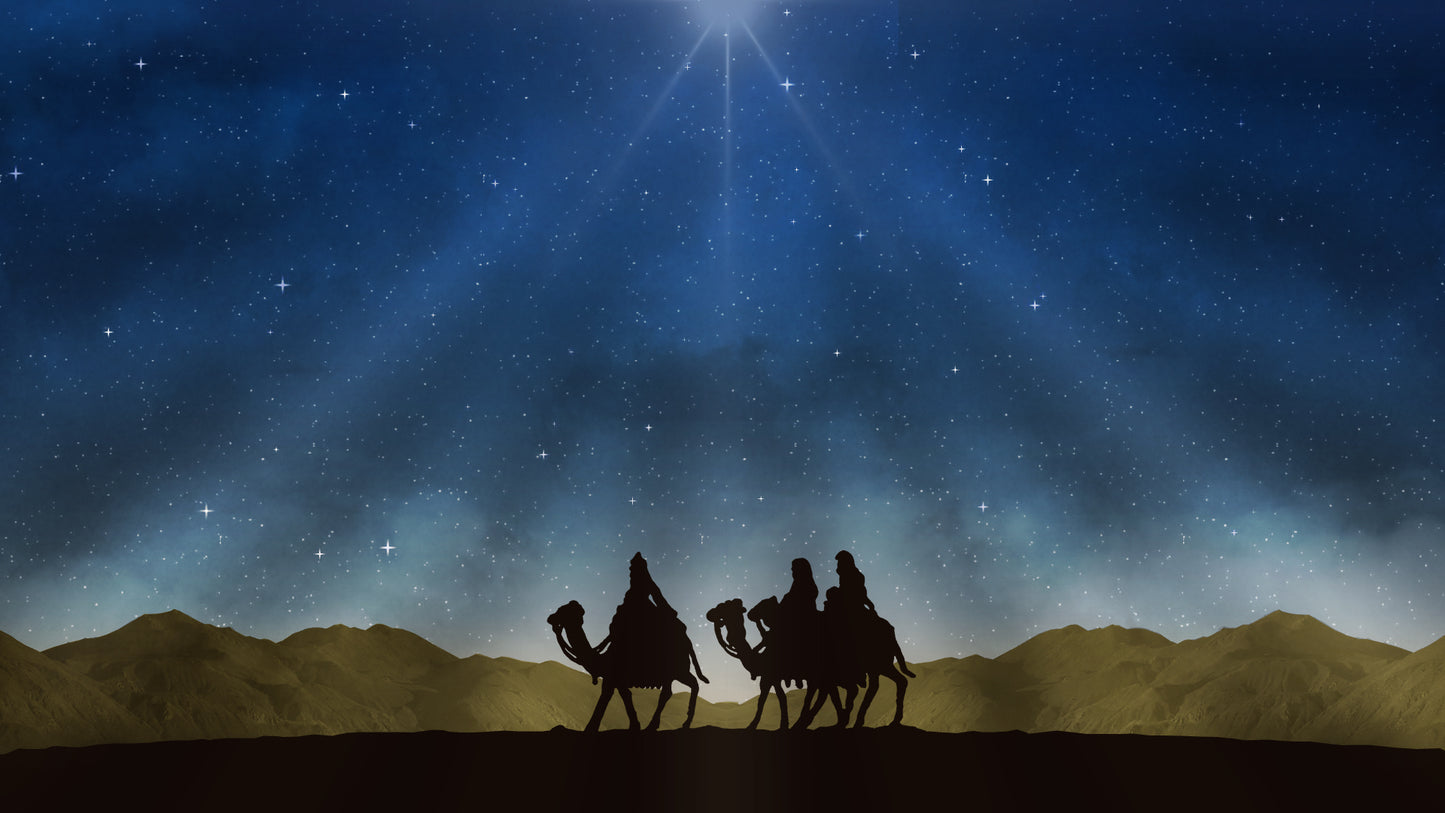 Nativity Night Wise Men