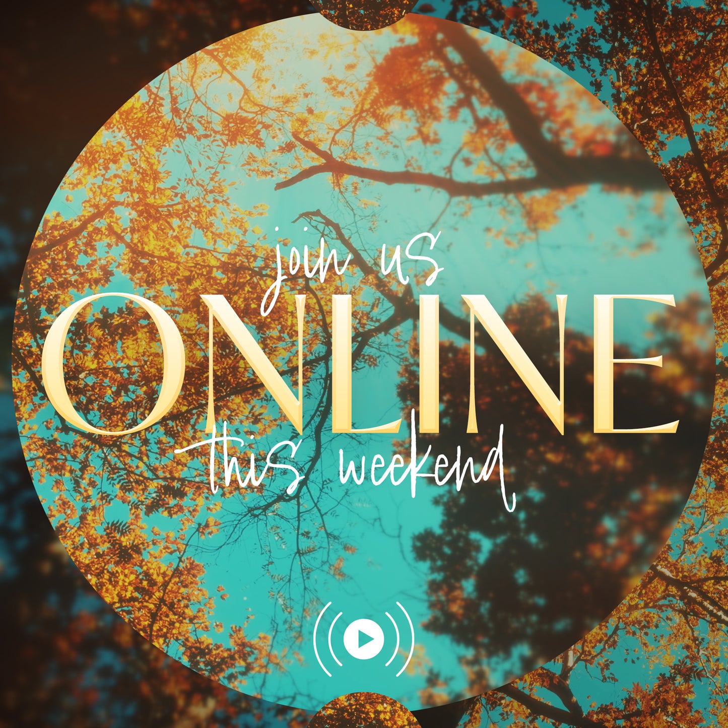 Online Autumn Canopies
