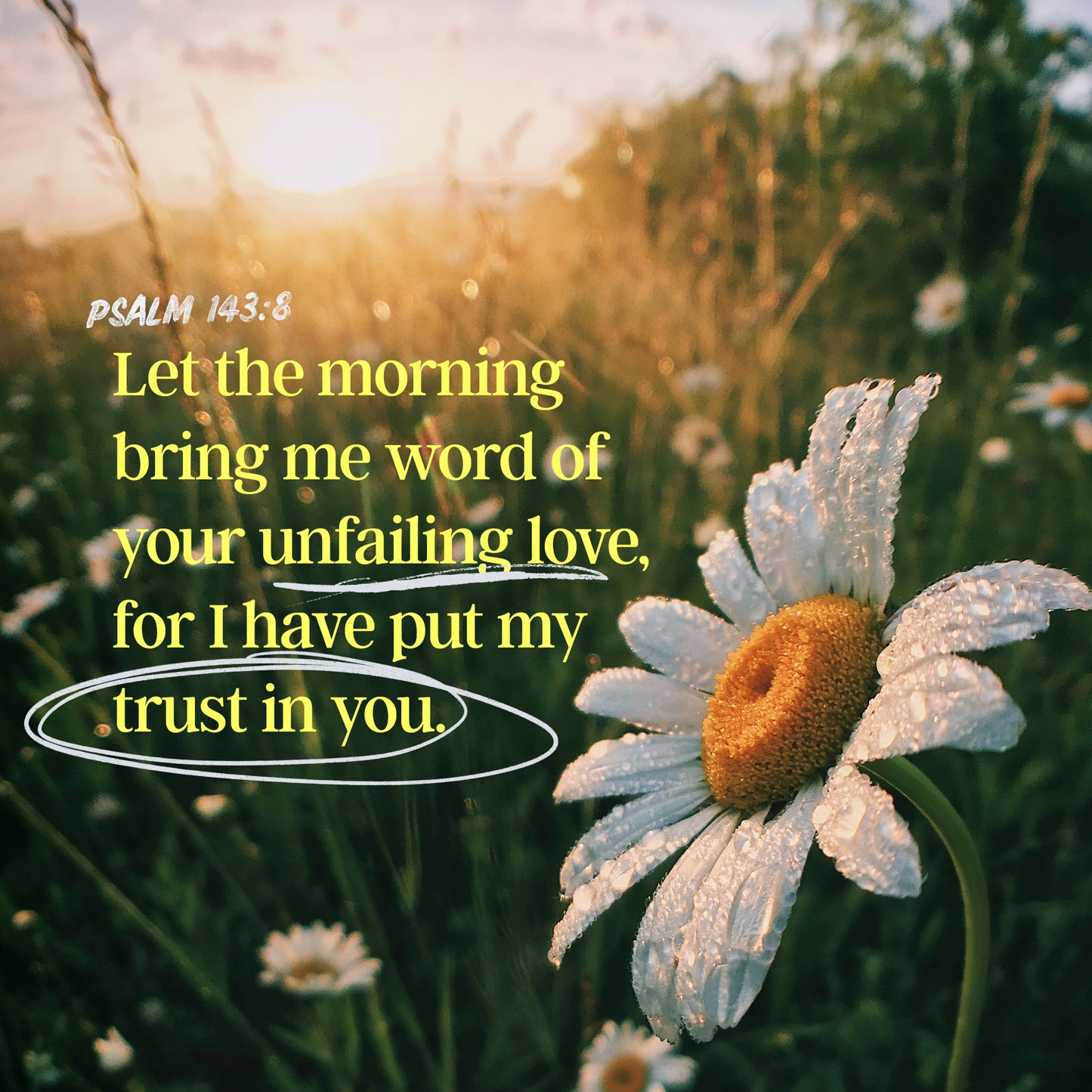Psalm 143:8