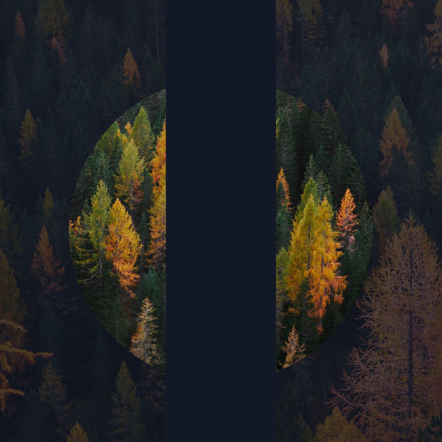 Favorite Fall Activities