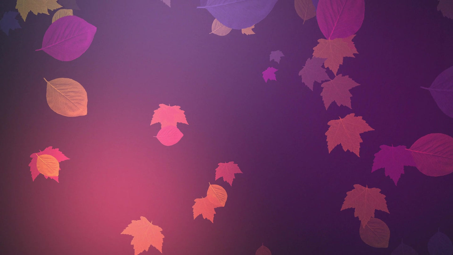 Vibrant Fall 08
