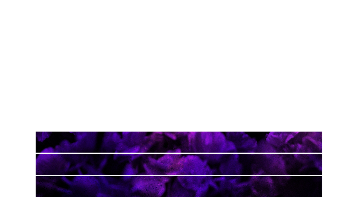 Floral Paint Lower Third Blank 03