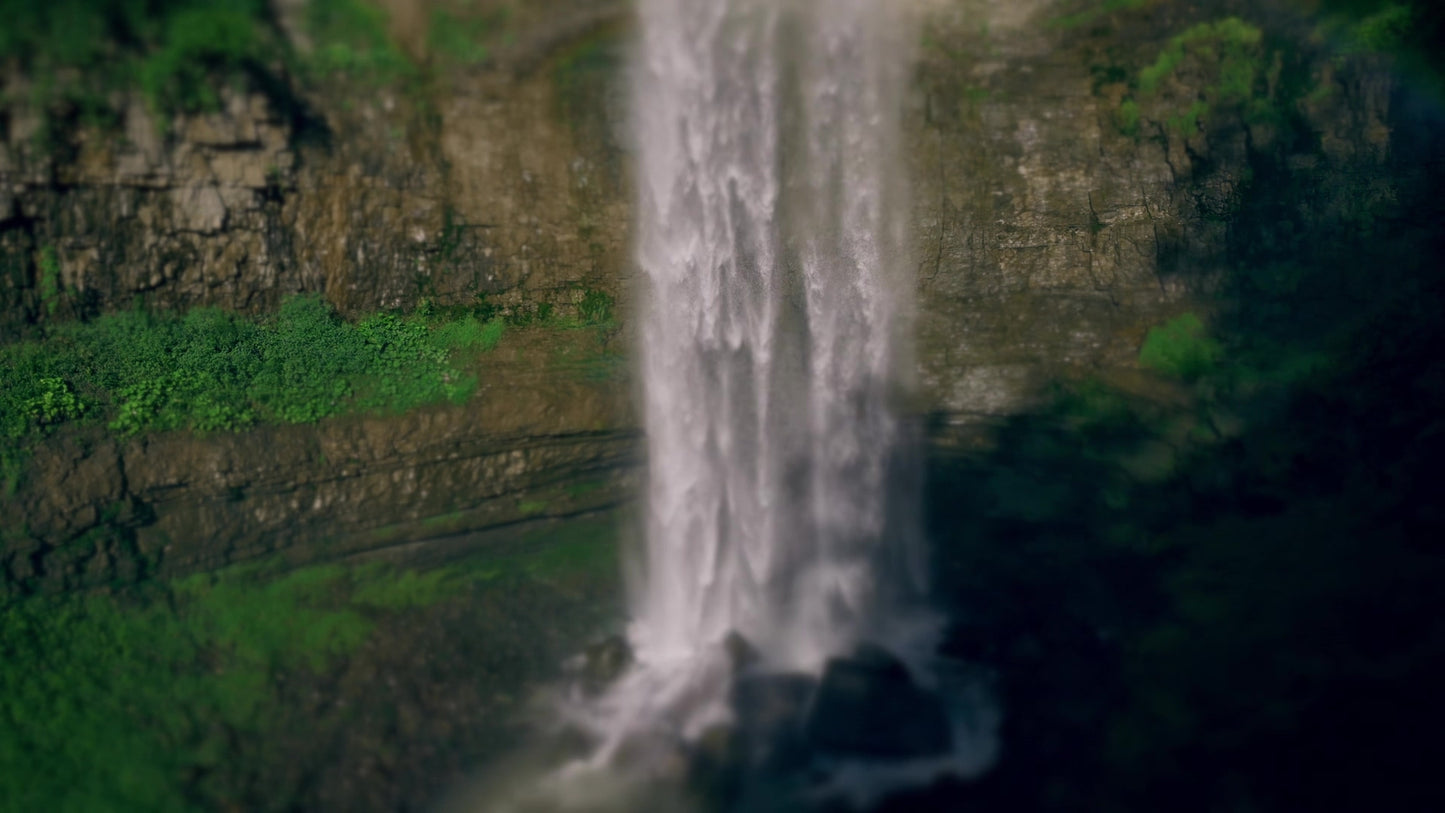 Natures Force 12