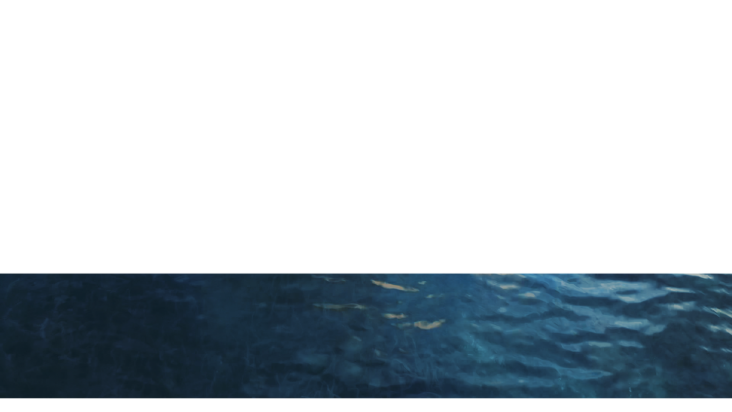 Lake Prespa Lower Third 9