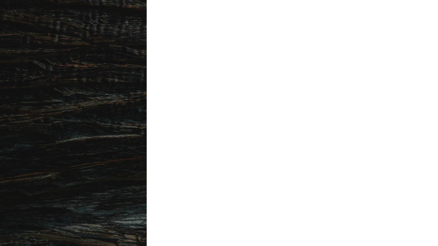 Winter Woods Lower Third Left Blank