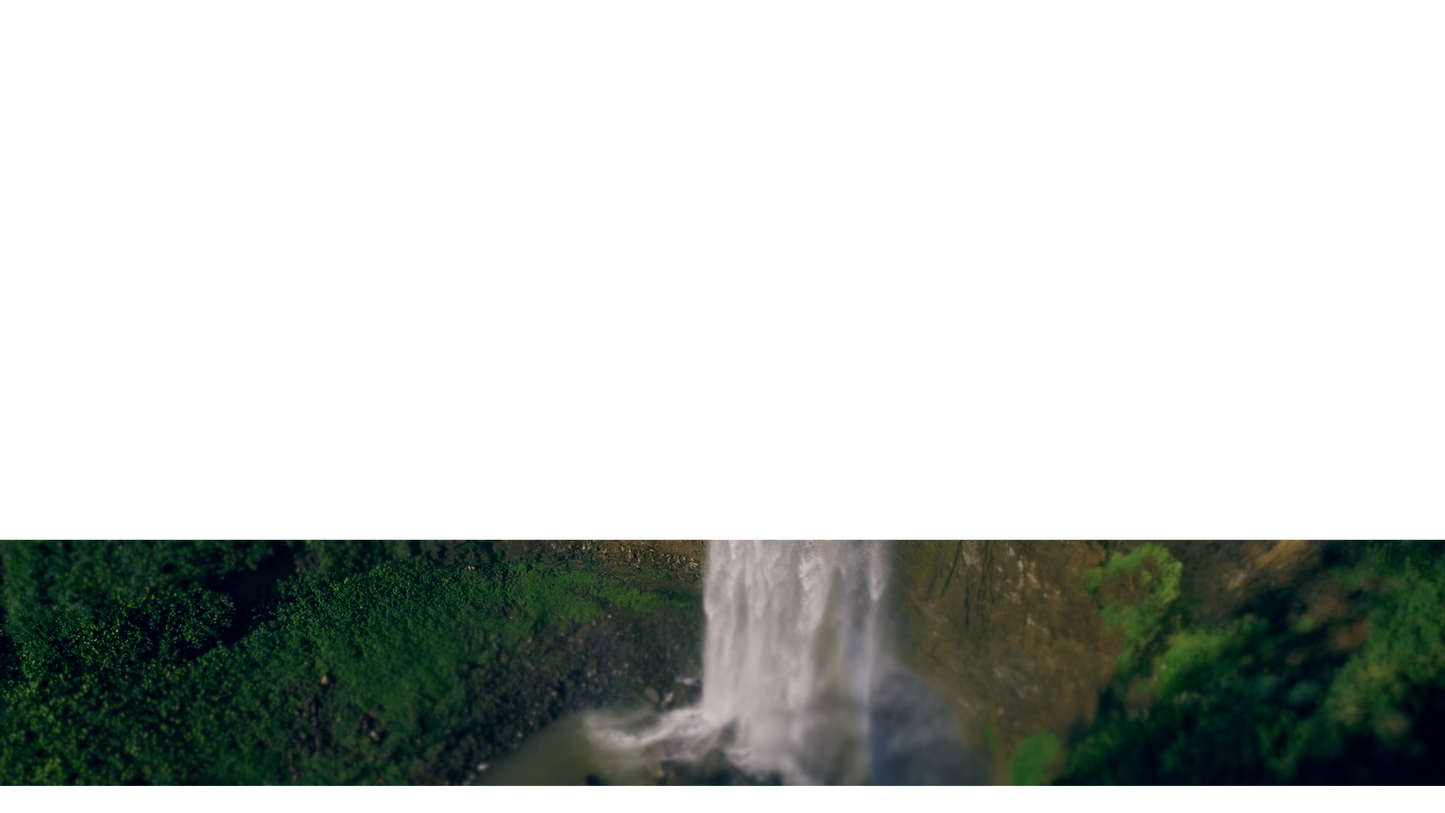 Natures Force Lower Third 14