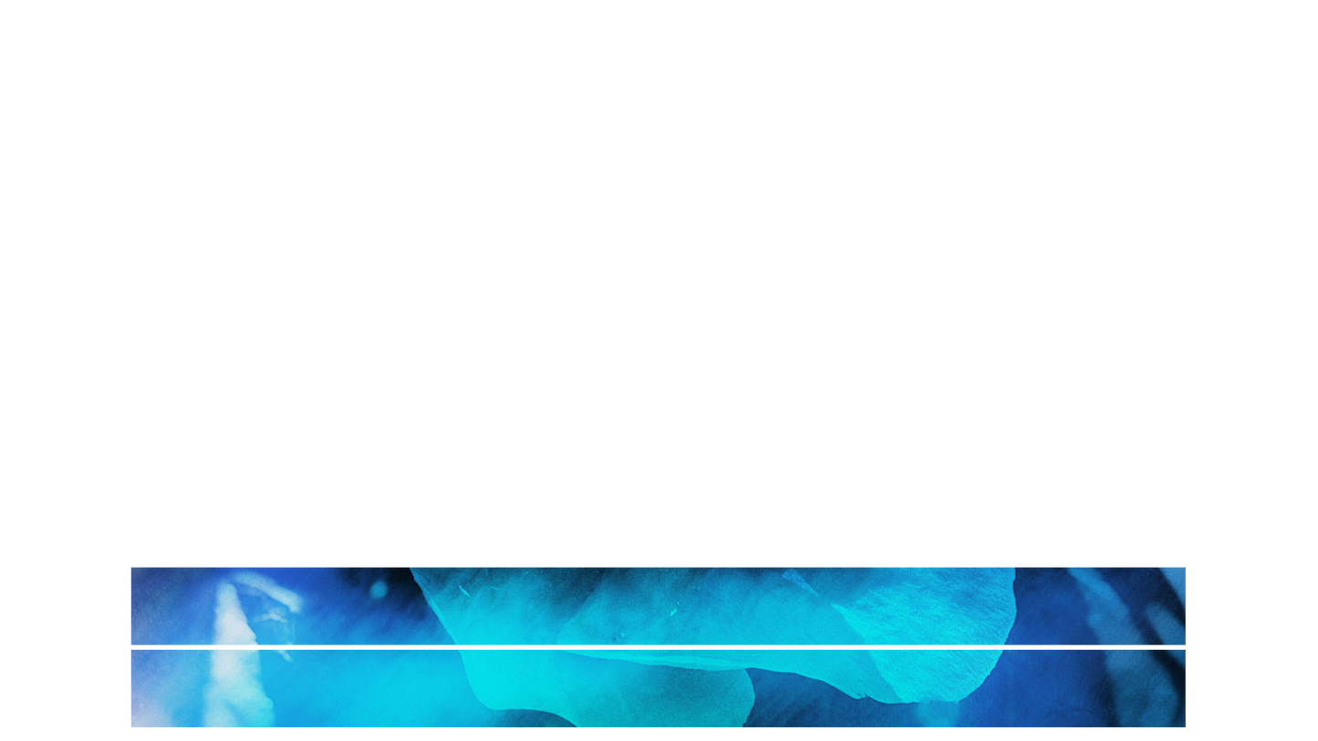 Painted Flowers Lower Third Blank 02