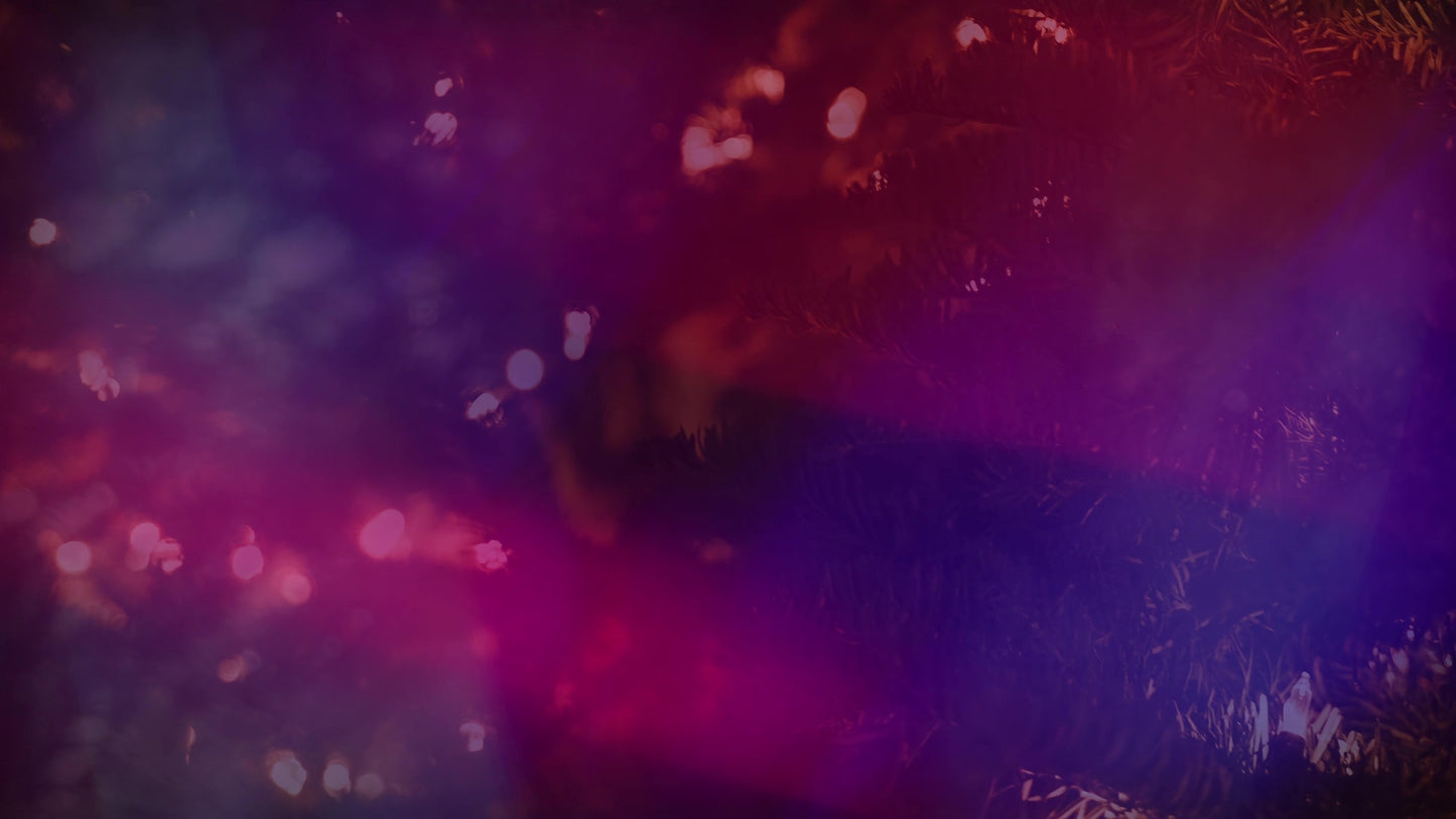 Christmas Light 01