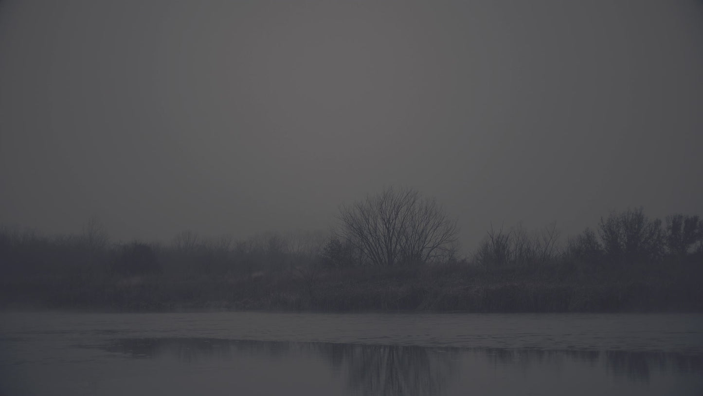 Bleak Beauty Shoreline Fade