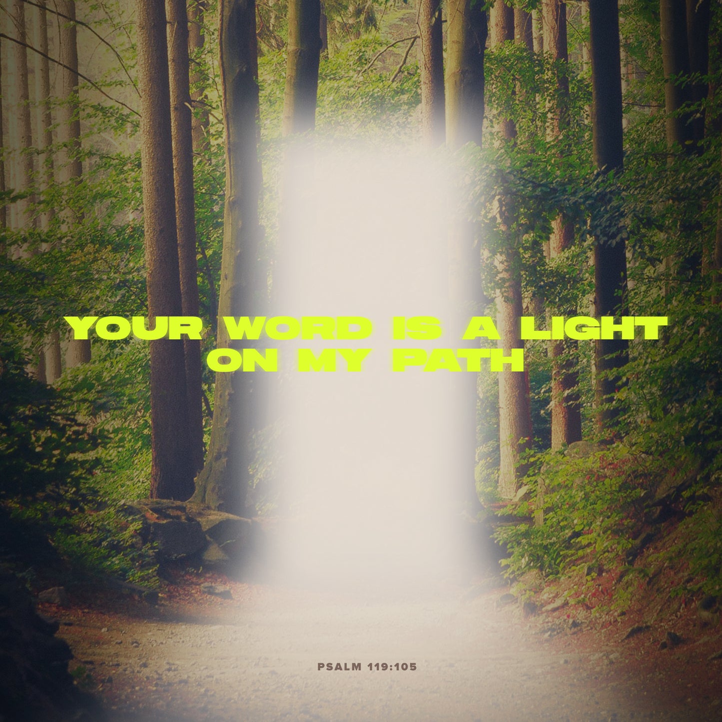 Psalm 119:105
