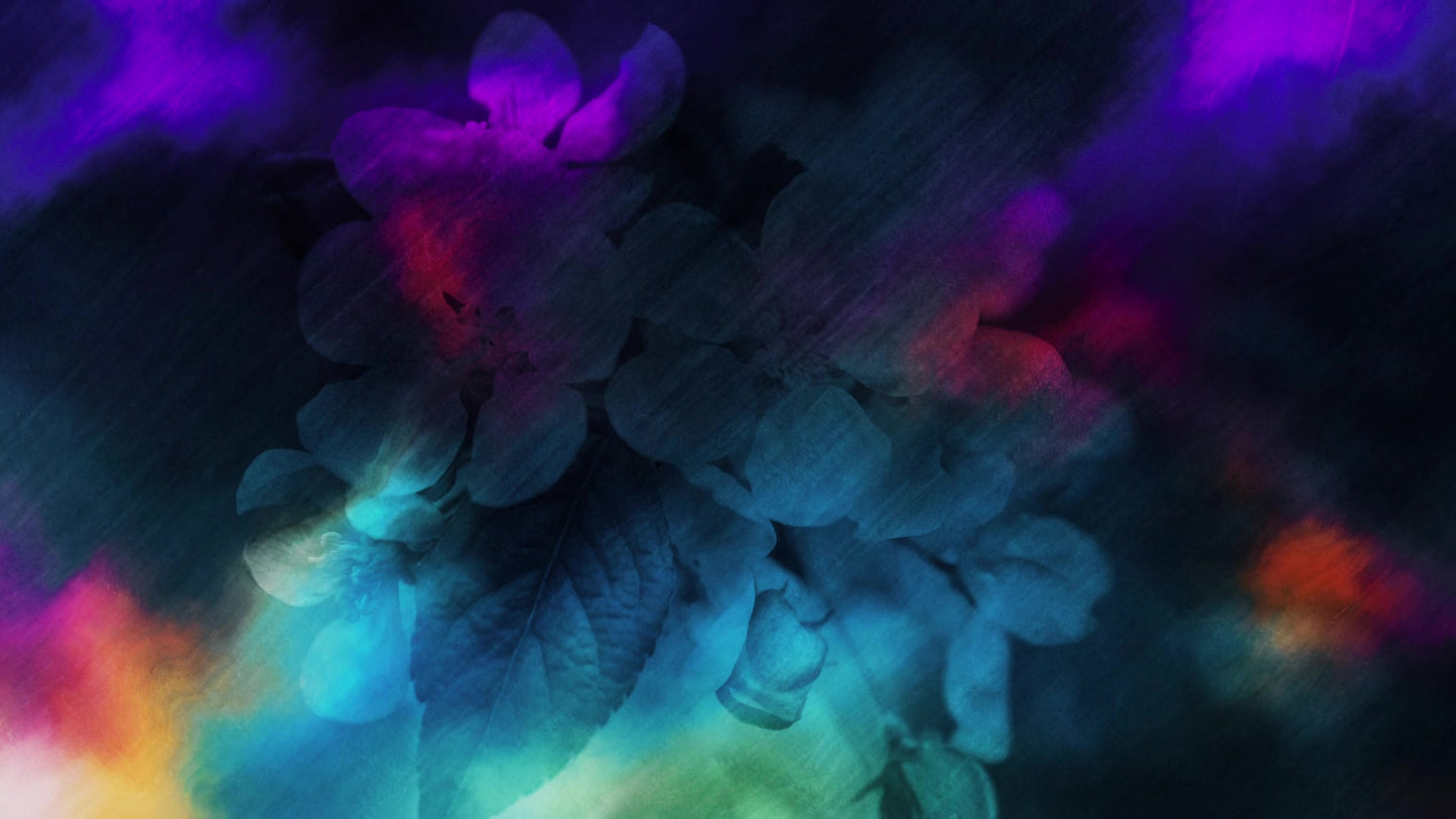 Painted Flowers 08
