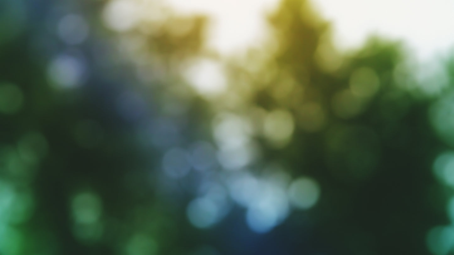 Storm Bokeh Spring