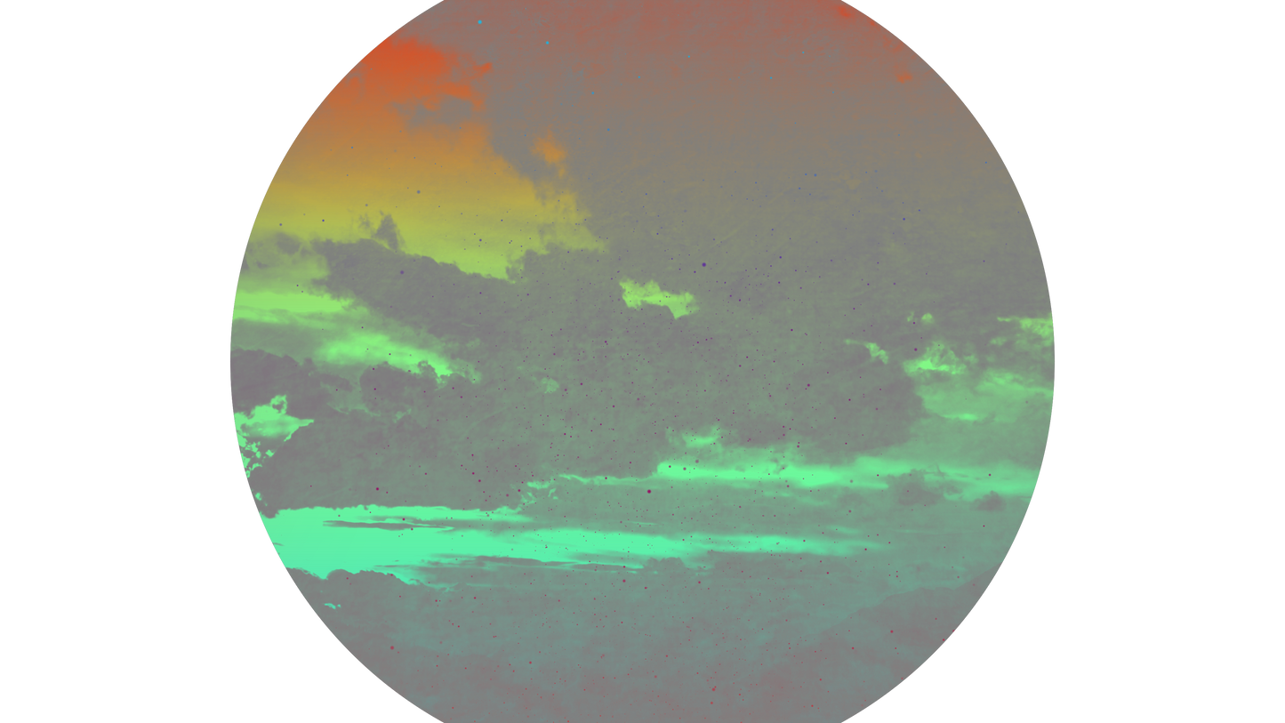 Lonely Tree 4
