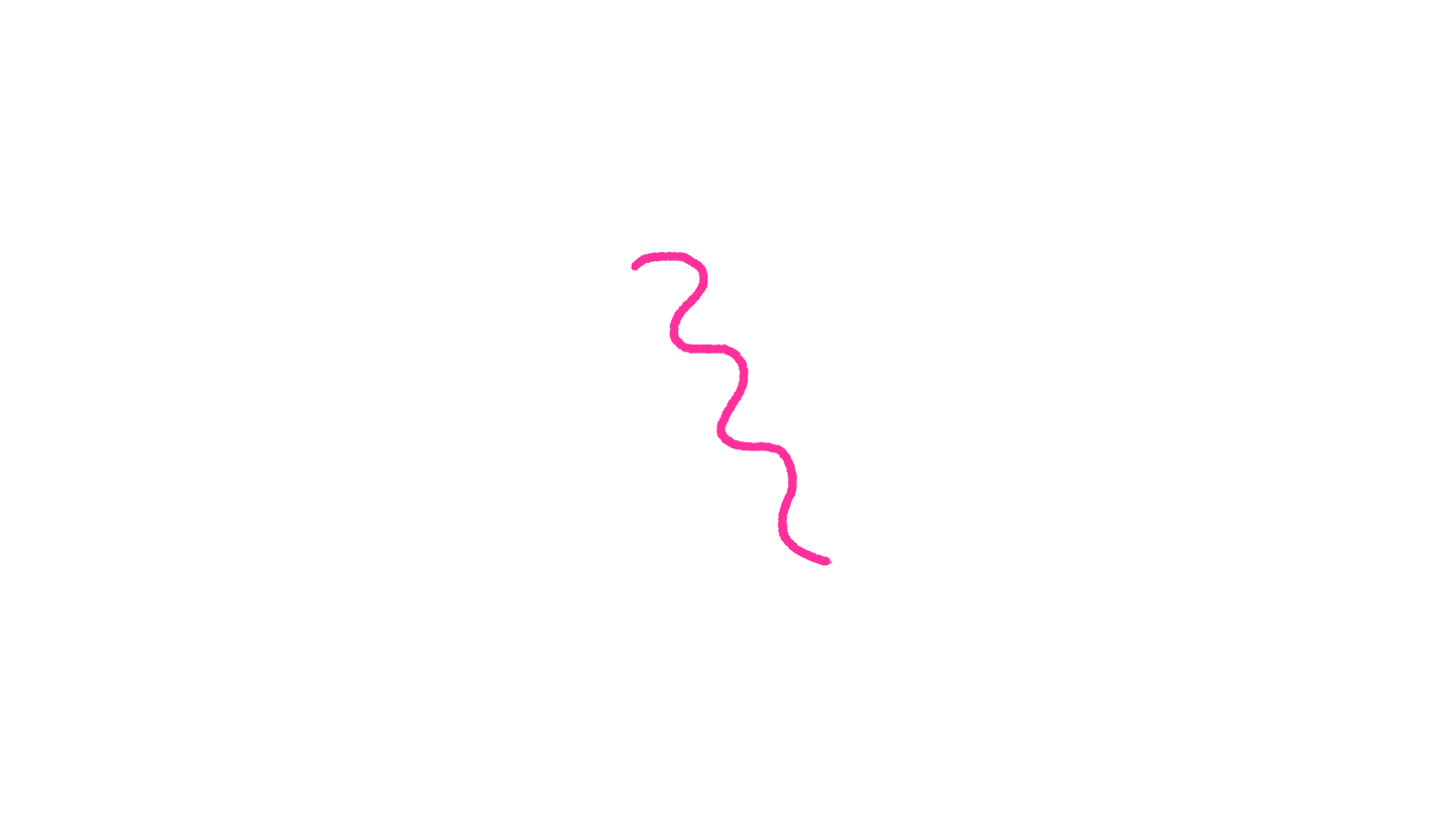 Bright Patches Curvey