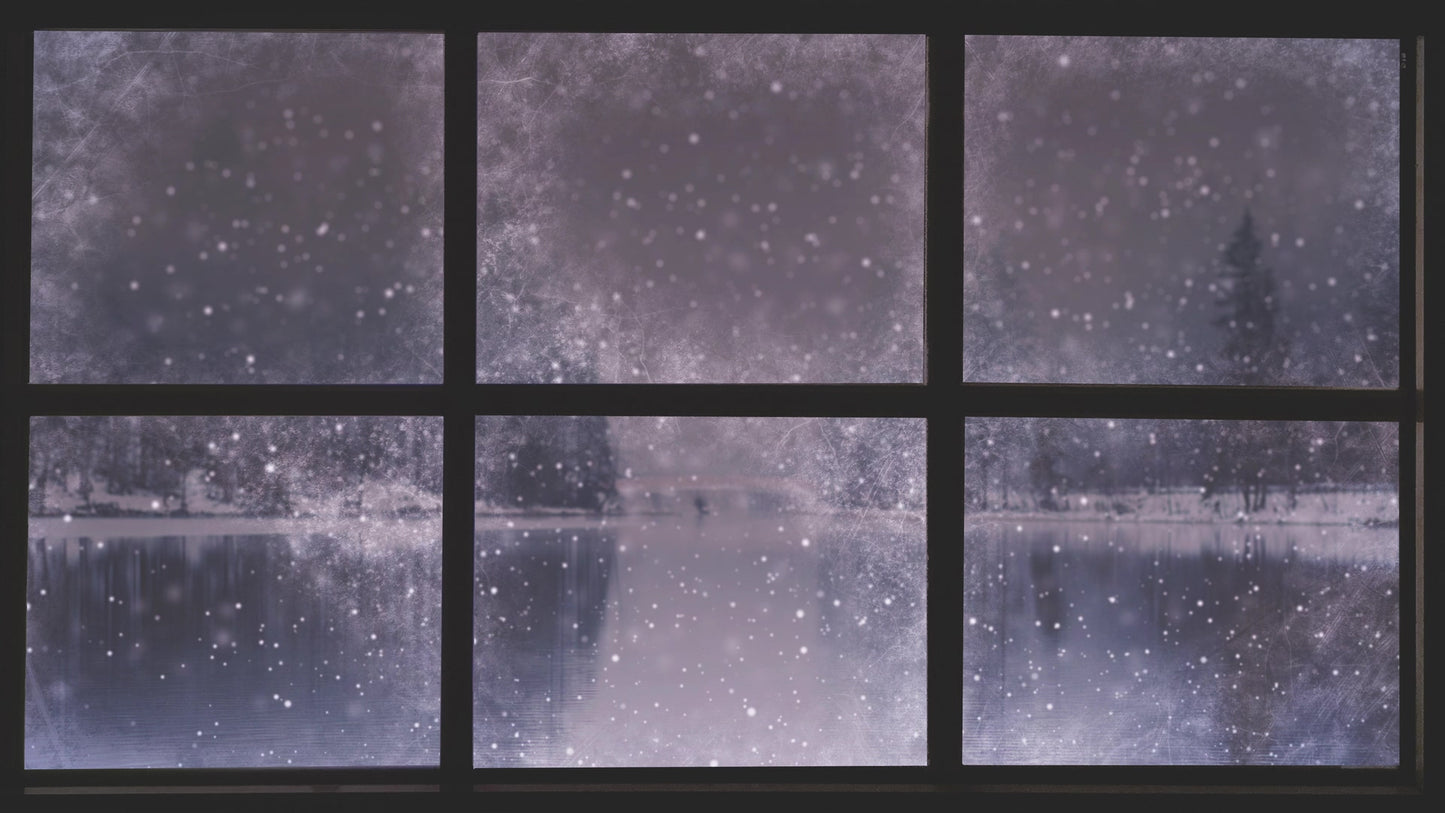 Christmas Windows 2