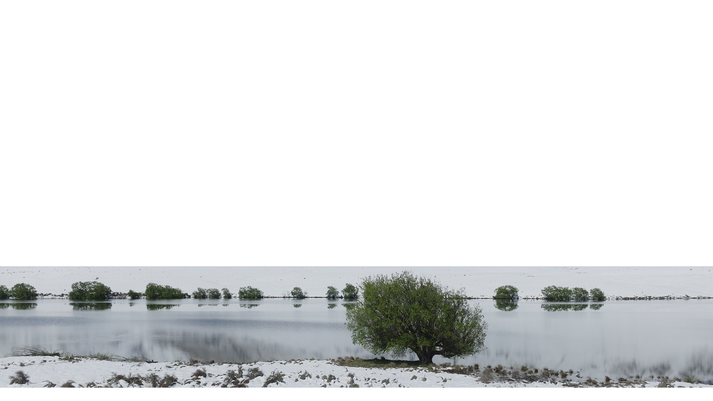 Winter Expanse Lower Third 4