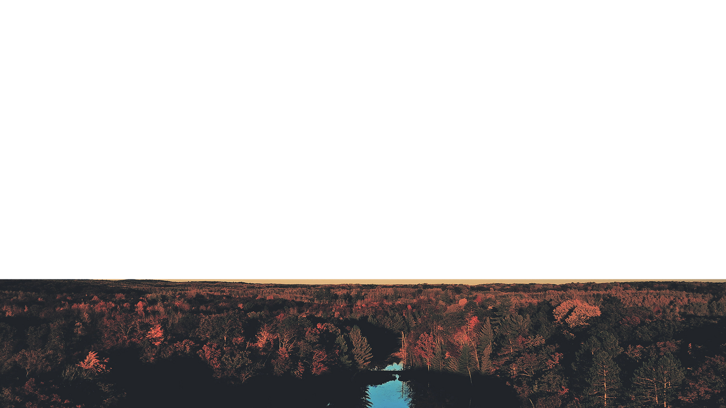 Foliage Remixed Lower Third Full Blank Large