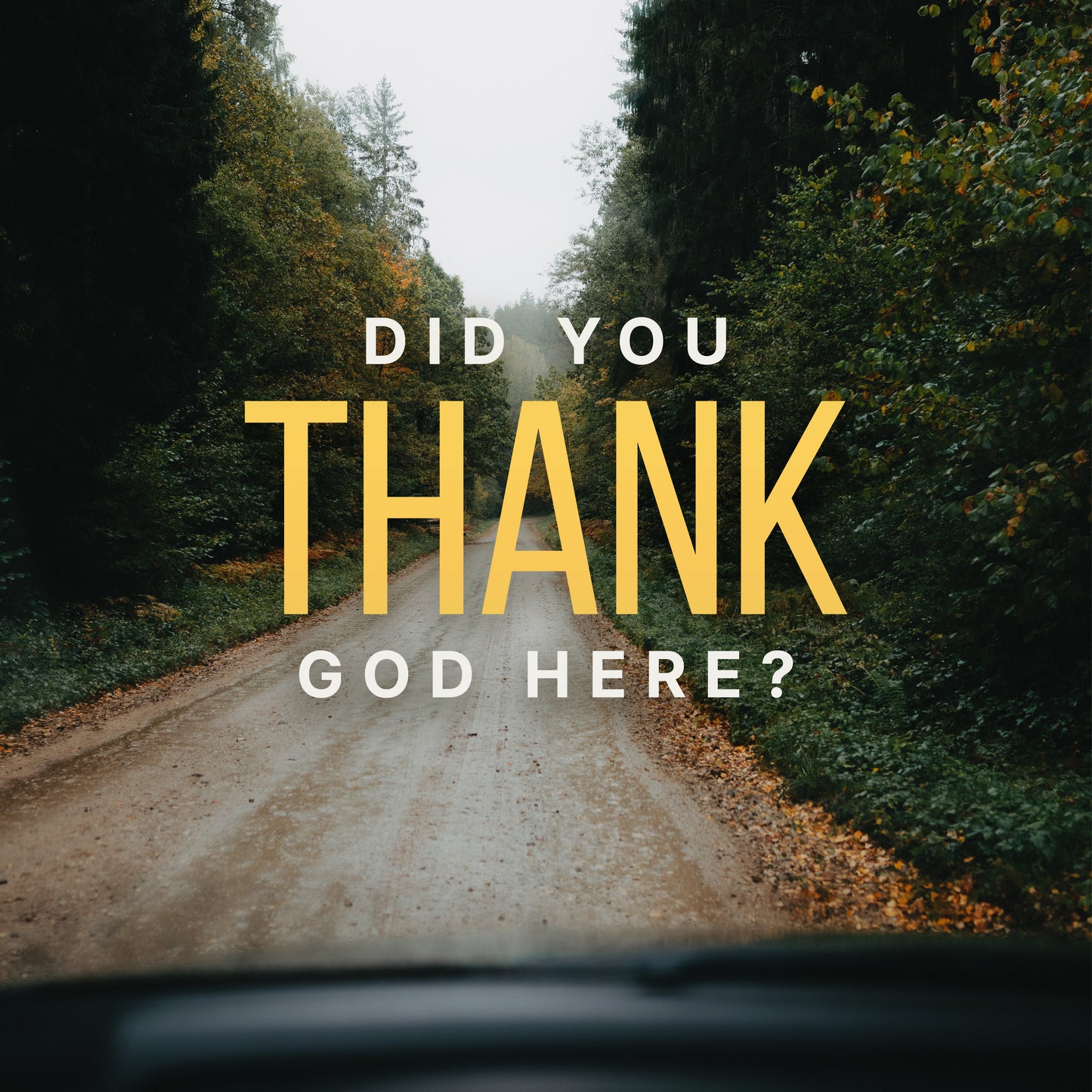 Everyday Moments - Car