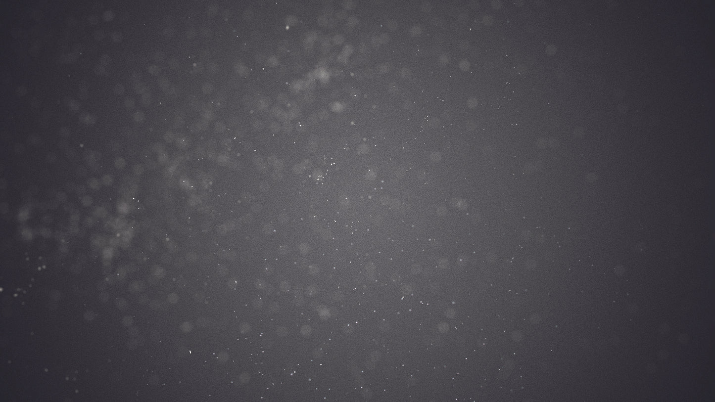 Memorial Film Grey
