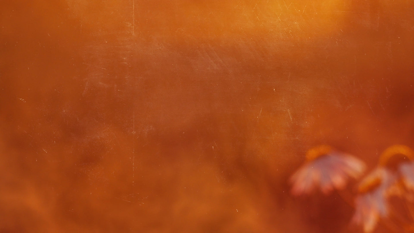 Autumn Blur Muted