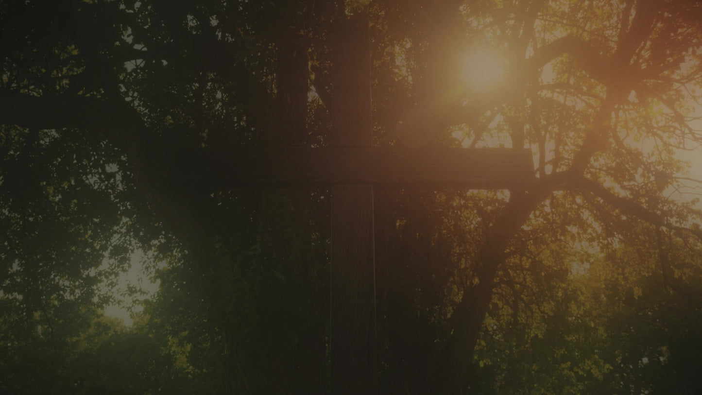 Nature Cross 13 Alt