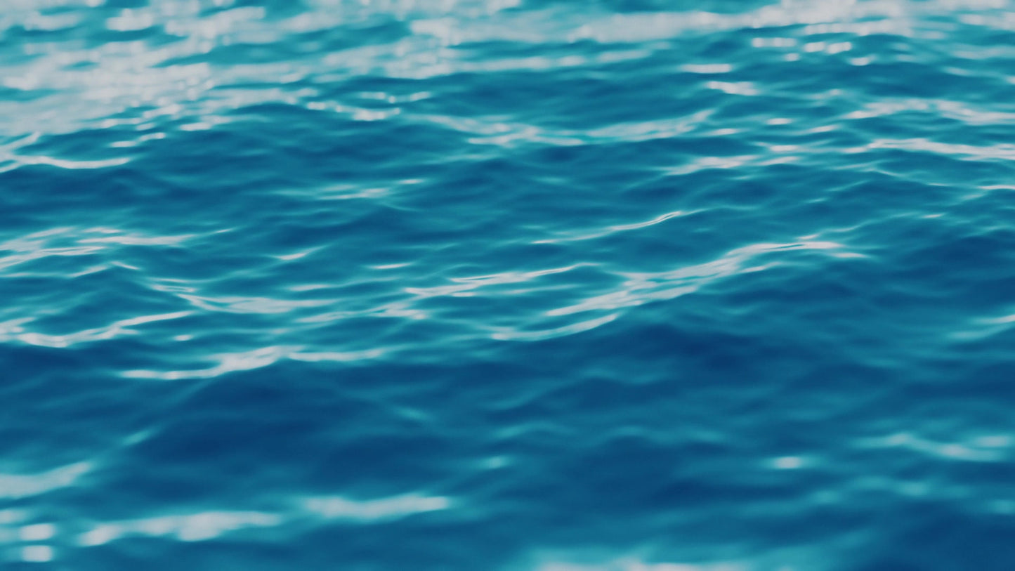 Expanse 18 Summer