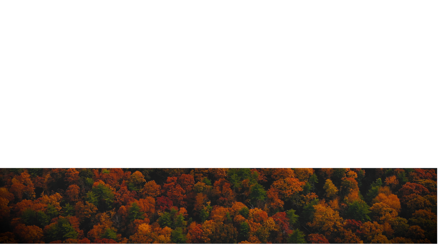 Autumn Colors Lower Third 2